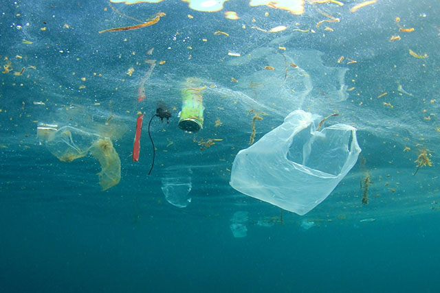 Các đại dương đang oằn mình gánh chịu ô nhiễm từ rác thải nhựa
