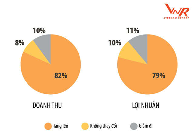 Nhận định của doanh nghiệp về Doanh thu/Lợi nhuận năm 2019 so với năm 2018