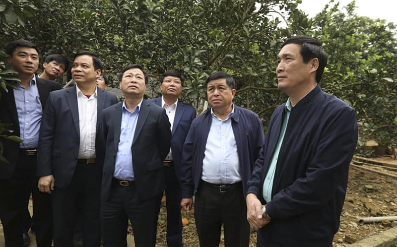 Bộ trưởng Nguyễn Chí Dũng thăm HTX Bưởi Xuân Thủy