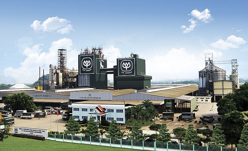 Sau hơn 25 năm xây dựng và phát triển, C.P. hiện có 9 nhà máy sản xuất thức ăn chăn nuôi tại Việt Nam