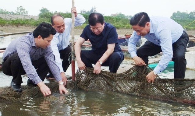 Phó Thủ tướng Trịnh Đình Dũng cùng lãnh đạo địa phương có buổi thị sát khu vực lồng bè có cá chết bất thường.