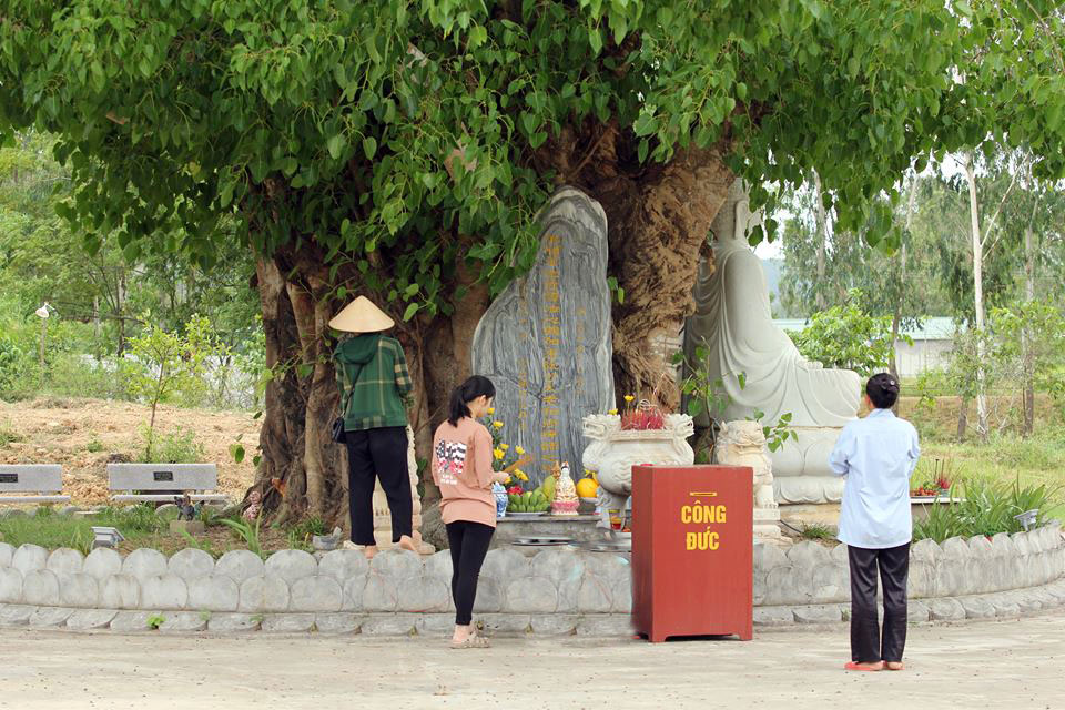 Hiện khuôn viên chùa có tượng Đức Phật Thích Ca dưới cây bồ-đề cổ thụ, tượng Quán Thế Âm Bồ-tát, tấm bia tưởng niệm Thiền sư Nguyễn Na, bậc cao tăng đã từng tu hành tại chùa.
