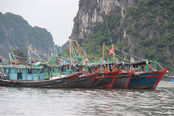 Tàu neo đậu chống bão tại bến cá Hòn Gai (phường Bạch Đằng, TP Hạ Long). Ảnh: Phạm Công