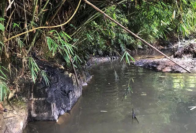 Nước ở suối Khại (xã Phú Minh, Kỳ Sơn, Hòa Bình) đen ngòm vì dầu thải đã đổ thẳng vào hồ Đầm Bài cung cấp cho Nhà máy nước sạch sông Đà.
