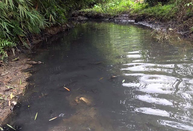 Dầu thải gây đen ngòm nước đầu nguồn sông Đà dẫn đến ô nhiễm nặng.