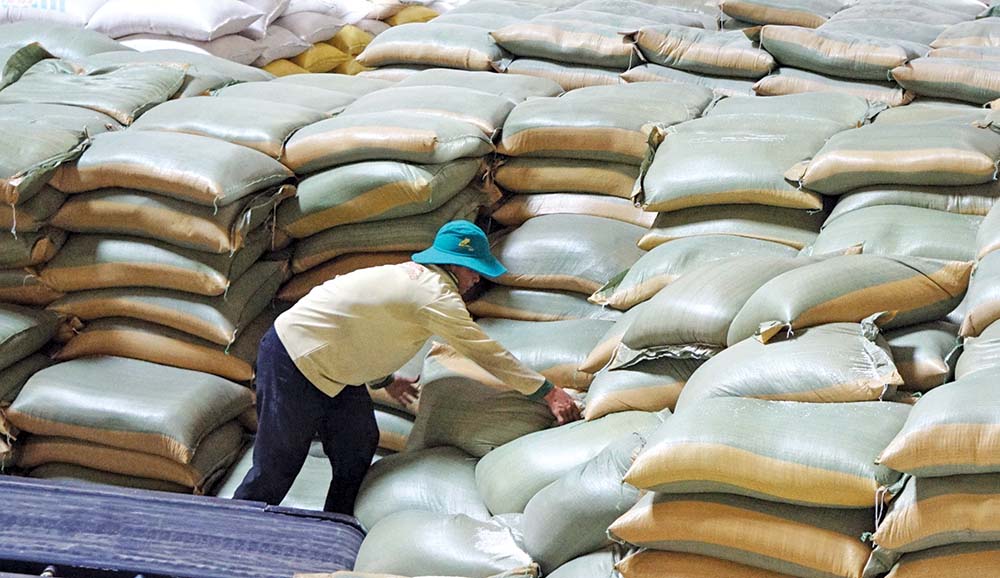 Giá gạo Việt xuất khẩu liên tục tăng trong thời gian qua 	ảnh: đ.t