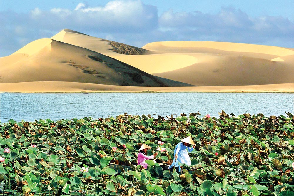 Từ bất lợi, “nắng, gió, cát trắng” của Bình Thuận đã bất ngờ chuyển thành lợi thế phát triển kinh tế
