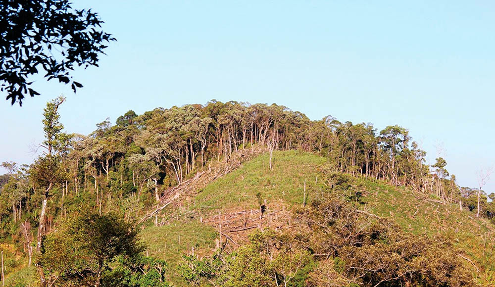 Đất rừng bị lấn chiếm làm nương rẫy tại tỉnh Kon Tum	