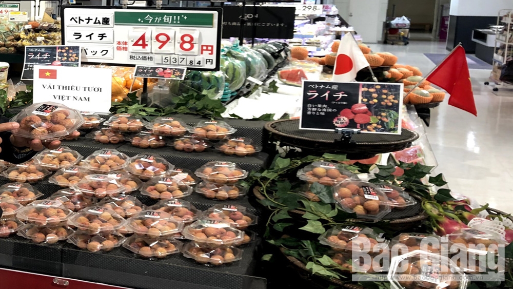 Vải thiều Bắc Giang tại một siêu thị tại Nhật Bản. Ảnh CTV cung cấp