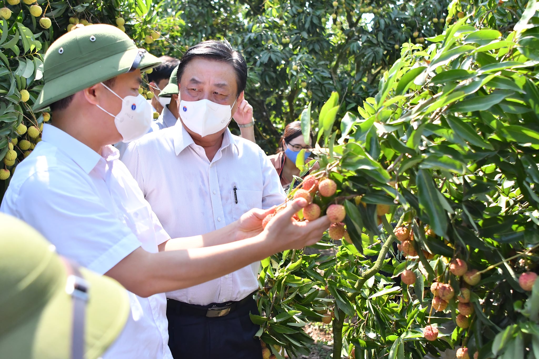 Bộ trưởng Bộ NN&PTNT Lê Minh Hoan trực tiếp làm việc với Bắc Giang về tiêu thụ vải. Ảnh: VGP/Nguyễn Dũng