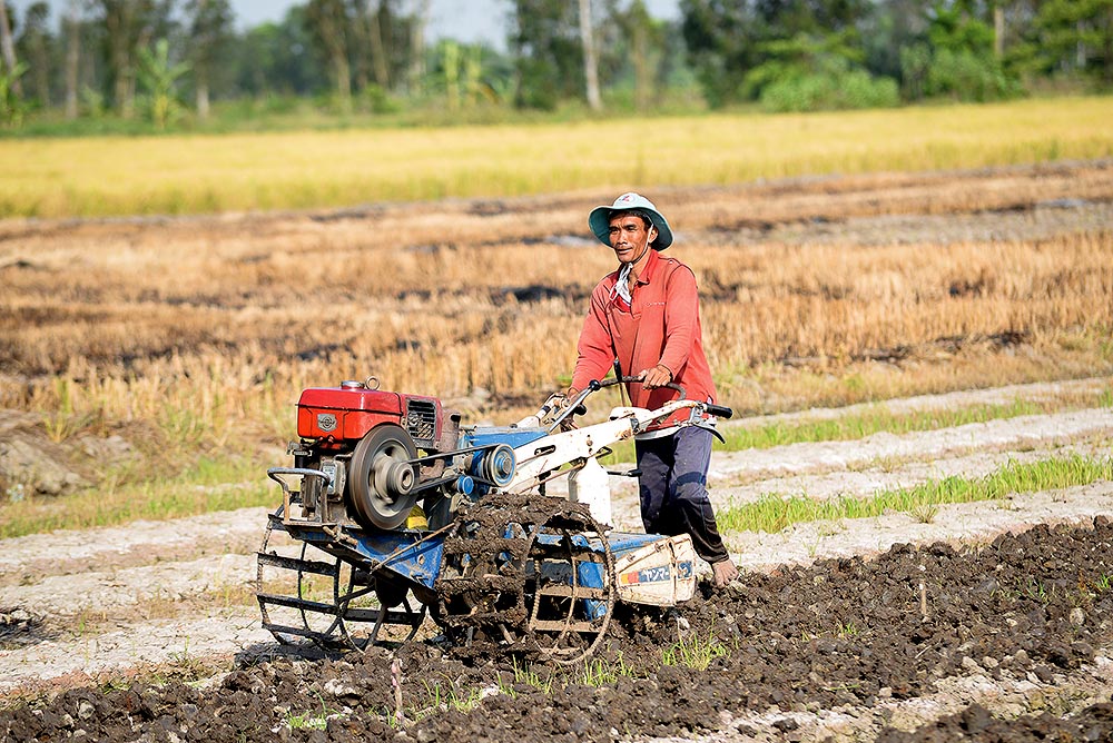 Tổng công suất thiết kế của các nhà máy trong nước đủ đáp ứng nhu cầu sử dụng urea cho sản xuất nông nghiệp ở Việt Nam