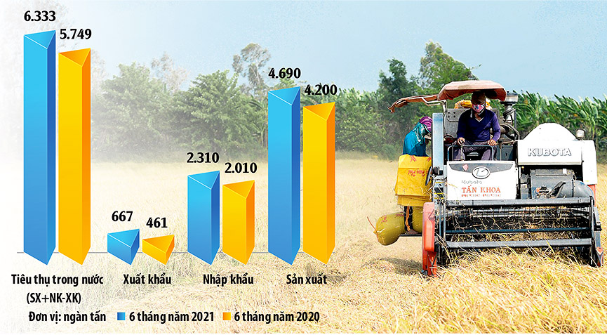 Chi phí phân bón chiếm gần 1/2 giá vật tư đầu vào trong sản xuất nông nghiệp  	Đồ họa: Thanh Huyền