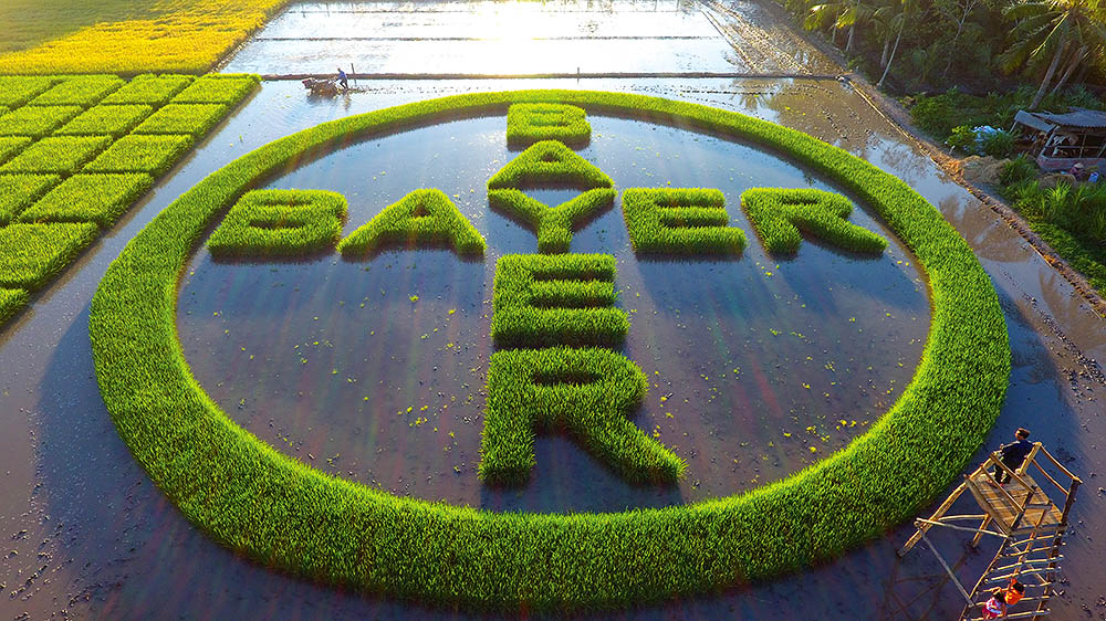 Bayer luôn có những giải pháp sáng tạo cho một nền nông nghiệp phát triển bền vững