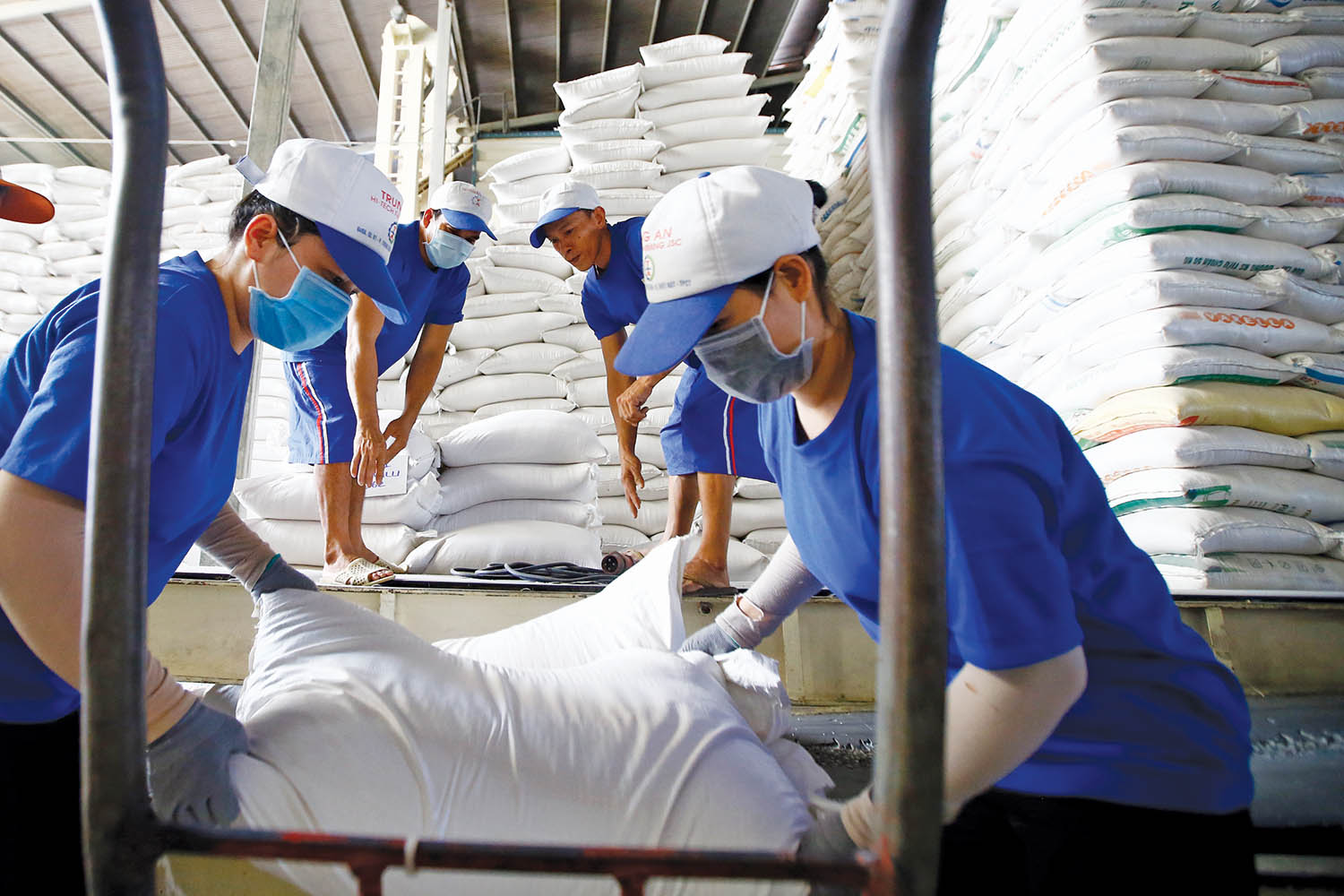 Xuất khẩu gạo của Việt Nam vào EU dù có gia tăng nhưng đã không được như kỳ vọng