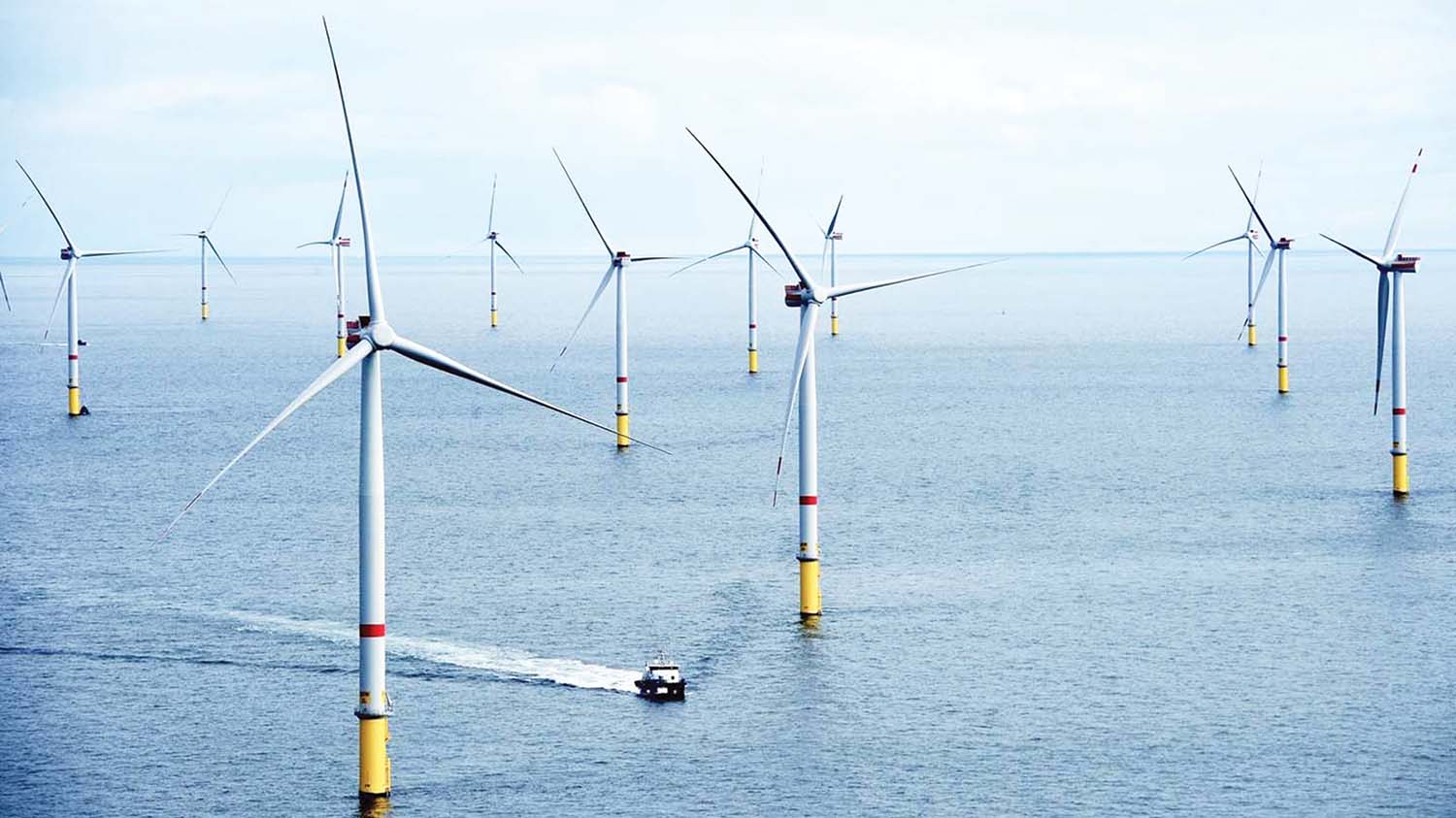 Đầu tư điện gió ngoài khơi đang rất cần được hỗ trợ về cơ chế giá, vốn vay