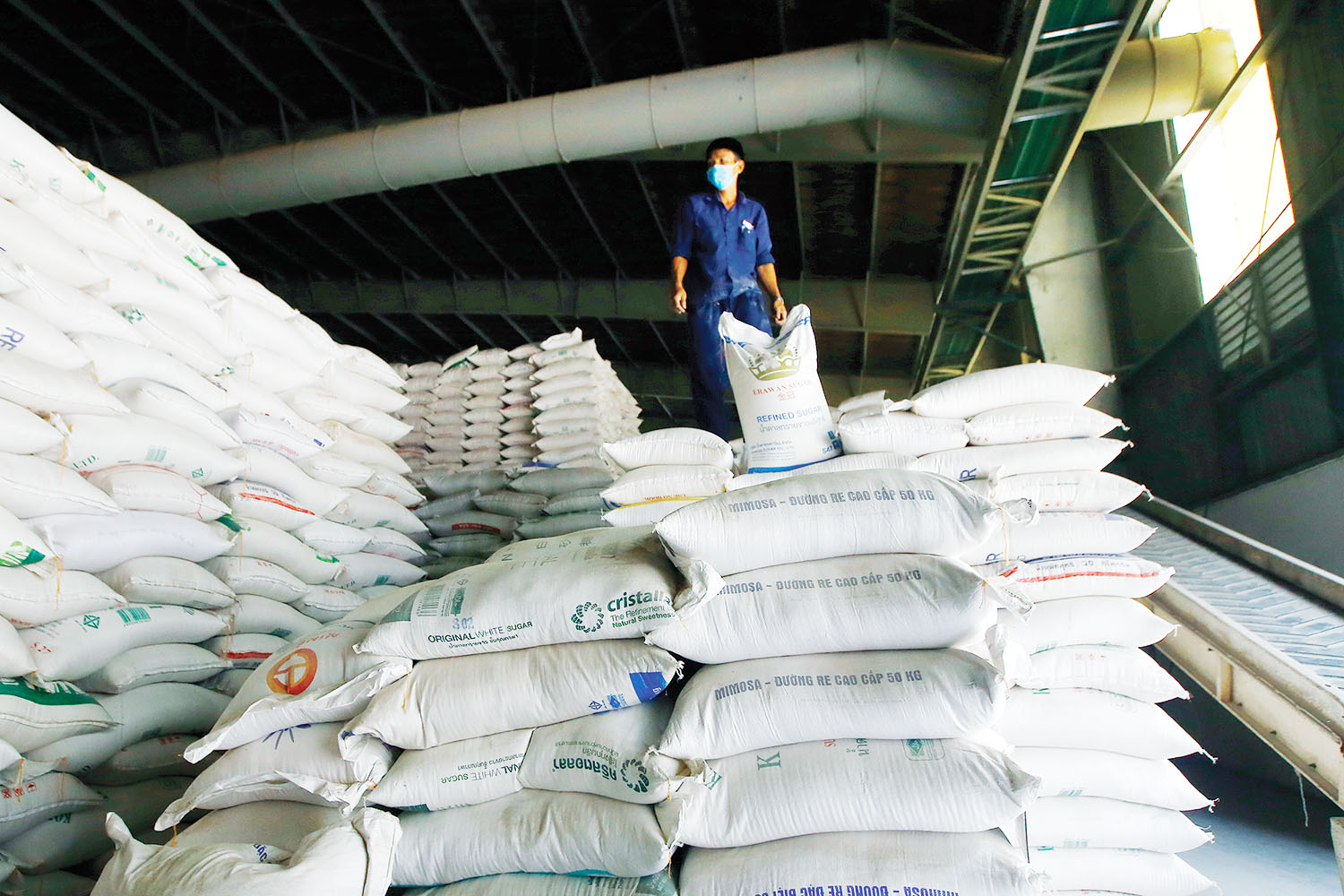 Xuất khẩu gạo của Việt Nam đã có 1 năm thành công và nhiều khả năng duy trì thứ hạng tốt trong năm 2022 	ảnh: đức thanh