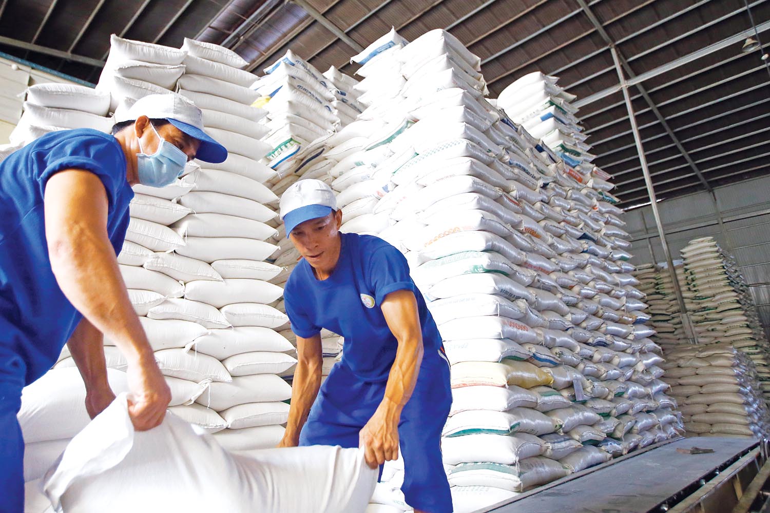 Xuất khẩu gạo năm 2022 được dự báo bằng hoặc cao hơn năm 2021	 Ảnh: Đ.T