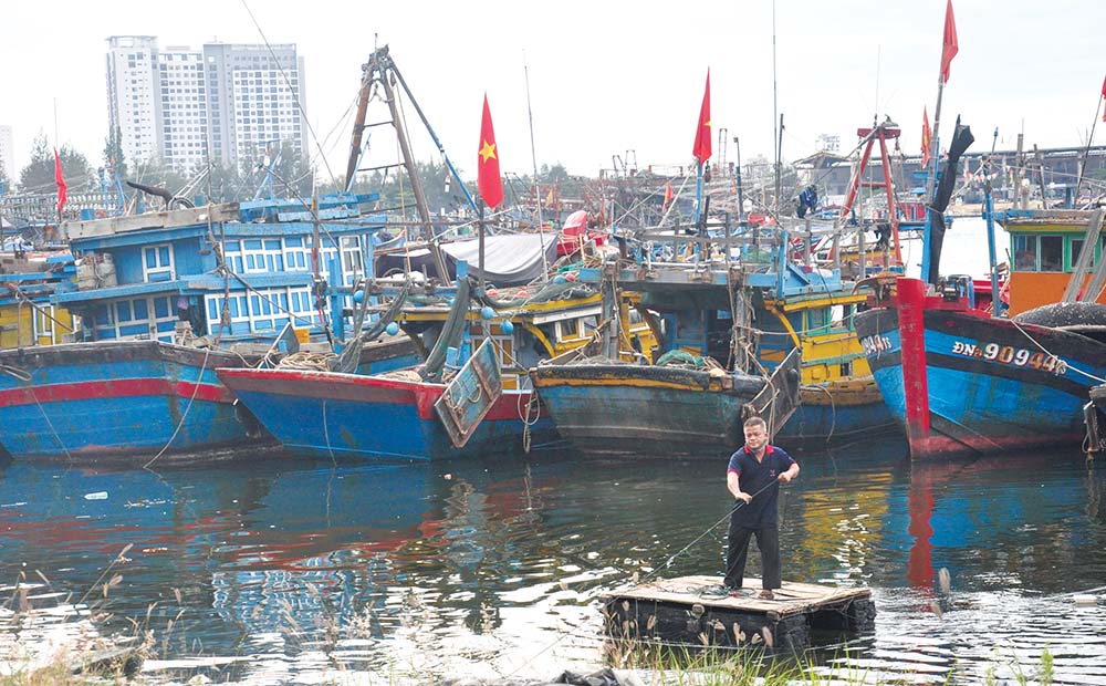 Vì những lý do khác nhau, nhiều tàu cá ở Đà Nẵng không ra khơi, khiến sản lượng khai thác giảm mạnh	Ảnh: H.A