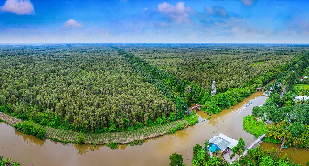 Khu bảo tồn thiên nhiên Lung Ngọc Hoàng (huyện Phụng Hiệp) được định hướng đến năm 2030 sẽ trở thành khu du lịch quốc gia  ảnh: lý anh lam (nguồn: trung tâm thông tin xúc tiến du lịch hậu giang)