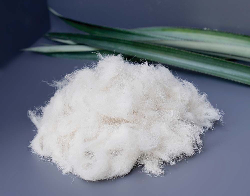 Sợi tơ “bông” từ lá cây dứa
