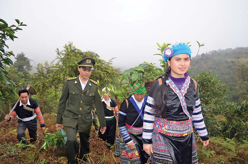 Yên Bái chú trọng phát triển lâm nghiệp đa mục tiêu, quản lý, bảo vệ rừng, nâng cao chất lượng, hiệu quả rừng trồng gỗ lớn 