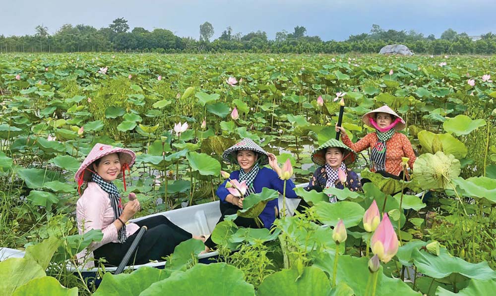 Tận dụng lợi thế về thiên nhiên, môi trường, tỉnh Đồng Tháp tập trung phát triển du lịch xanh, định vị thương hiệu Đất sen hồng