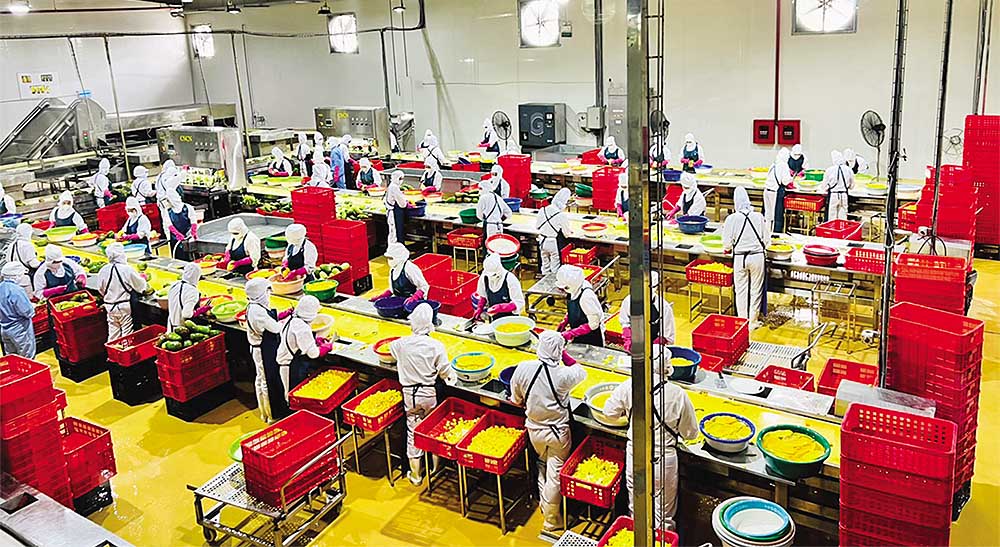 Chiến lược phát triển theo chuỗi giá trị khép kín, từ quy hoạch vùng nguyên liệu, đến thu mua, chế biến, xuất khẩu mang lại thành công cho doanh nghiệp Việt