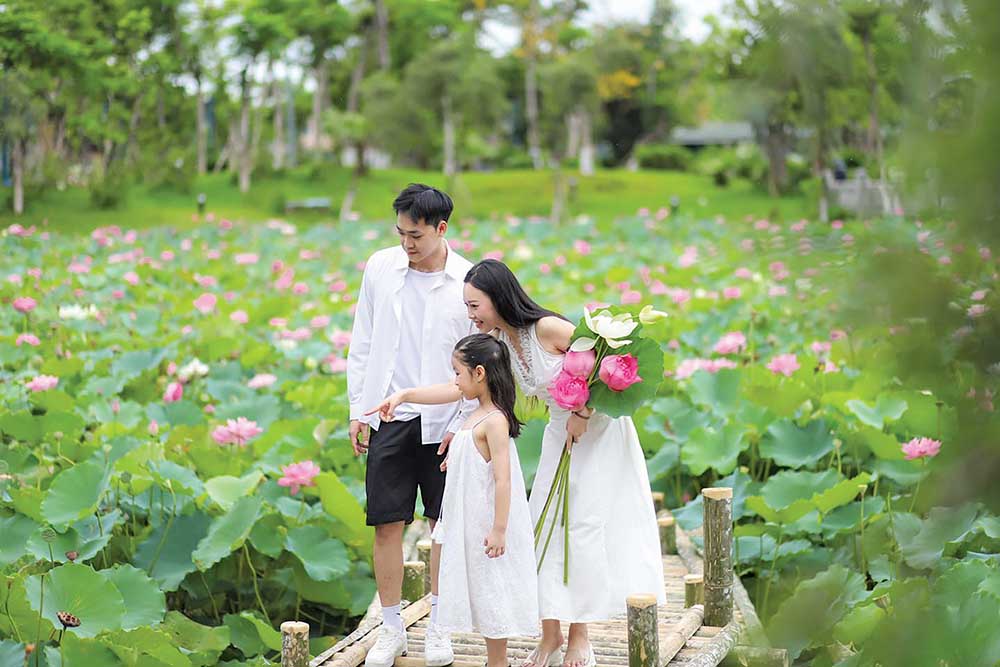 Hồ sen An Nhiên tại Sun World Hạ Long