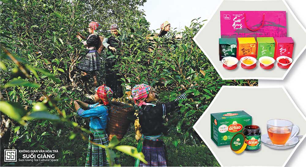 OCOP đã trở thành một động lực quan trọng trong phát triển kinh tế nông thôn