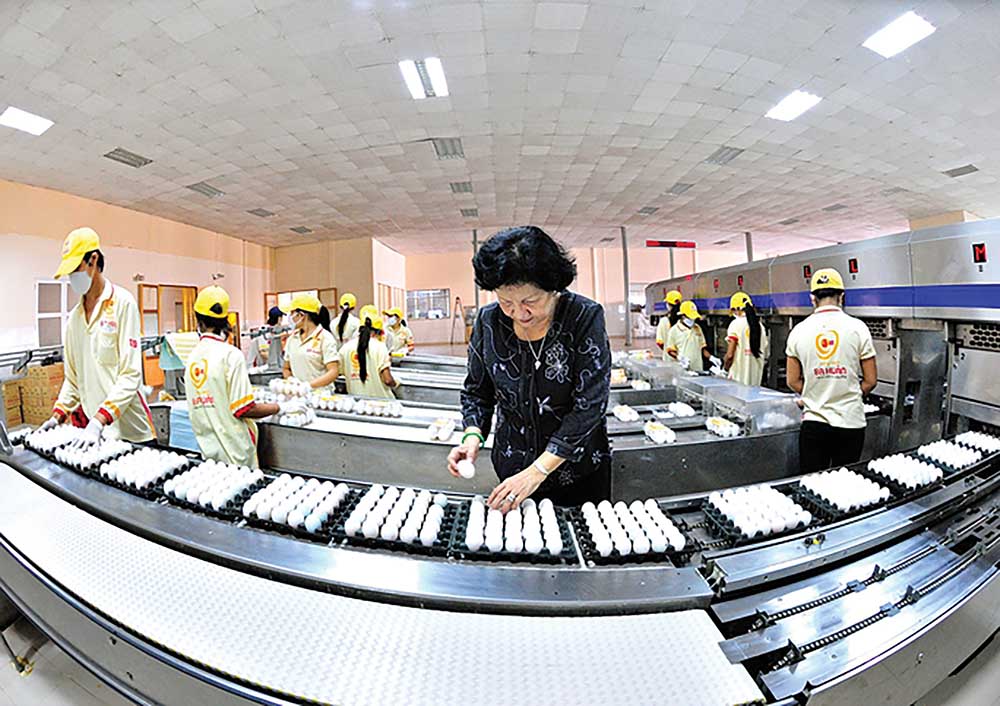 Bà Huân nâng niu từng quả trứng, trong nhà máy được đầu tư dây chuyền hiện đại của Công ty Ba Huân