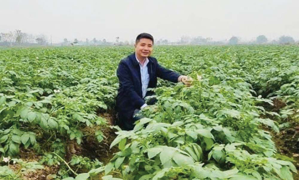 Trò chuyện với doanh nhân Phạm Văn Tấn Sau nhiều năm gắn bó với ruộng đồng và nông nghiệp công nghệ cao, điều gì anh cảm thấy đã thay đổi nhiều nhất trong con người mình? Tôi học được sự kiên nhẫn, không chỉ với đất đai, mùa vụ, mà cả với chính mình và người khác. Tôi biết lắng nghe, bao dung hơn với sai sót và trân trọng bài học từ thất bại. Trước đây tôi rất cầu toàn, nóng nảy, nhưng giờ tôi hiểu nông nghiệp là hành trình của sự đồng hành và sẻ chia. Anh từng nói “nông nghiệp là giọt nước mắt”, vậy giọt nước mắt nào khiến anh nhớ nhất? Đó là vụ khoai tây năm 2024, khi giống kém khiến cả cánh đồng hàng chục héc-ta gần như mất trắng sau 120 ngày chăm sóc. Tôi đứng giữa đồng, nhìn những cây còn xanh mà năng suất chưa đạt 1/3 mức tối thiểu, cảm giác như lòng mình bị xé từng mảnh. Nhưng tôi cũng hiểu rằng, chỉ khi đi qua mất mát, mới thật sự trân trọng giá trị của thành công. Nếu có thể gửi một bức thư cho chính mình của 10 năm trước, anh sẽ viết gì? Hãy kiên nhẫn và đừng sợ thất bại. Đừng vội vàng muốn gặt hái thành công mà quên đi bước chân đầu tiên phải thật vững. Mỗi thất bại là món quà cho sự trưởng thành, mỗi giọt mồ hôi là nền tảng cho sự bền vững. Quan trọng nhất, hãy giữ ngọn lửa đam mê và cái tâm trong sáng với nghề. Đó chính là kim chỉ nam dẫn đến thành công.