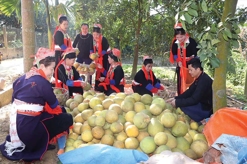 Nguồn vốn chính sách đã và đang tạo động lực mạnh mẽ để người dân phát triển sản xuất, nâng cao đời sống