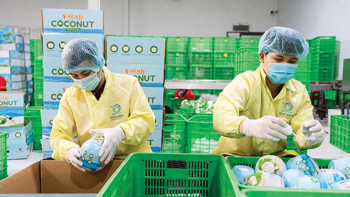 Xuất khẩu n&ocirc;ng, l&acirc;m, thủy sản được đ&aacute;nh gi&aacute; vẫn c&ograve;n dư địa tăng trưởng (Ảnh: P.V)