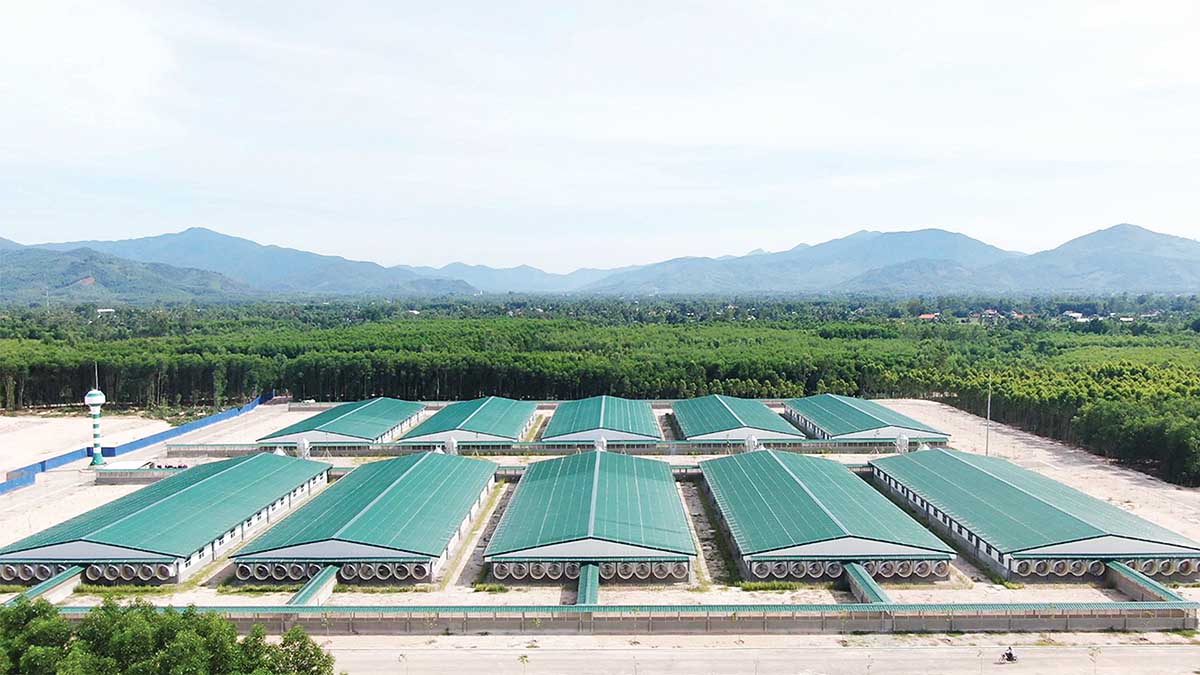 Tỉnh Gia Lai hiện đang ưu ti&ecirc;n thu h&uacute;t c&aacute;c Dự &aacute;n trang trại chăn nu&ocirc;i quy m&ocirc; lớn, đảm bảo vấn đề m&ocirc;i trường