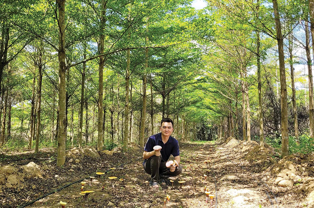 CEO The Moshav Farm Phạm Từ Liêm và sản phẩm do nông trại làm ra