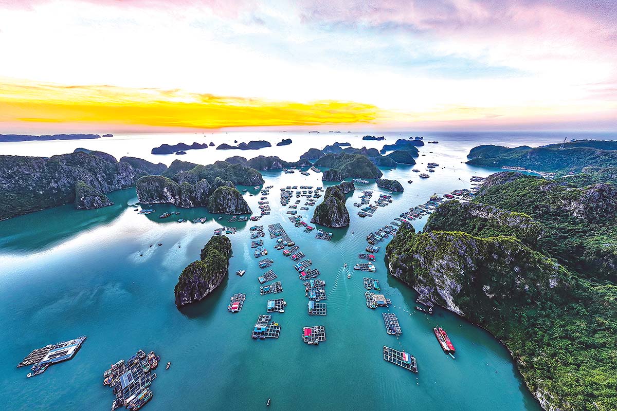 Cát Bà có cảnh quan đẹp, hạ tầng thân thiện với môi trường, đang trở thành lựa chọn hàng đầu của du khách