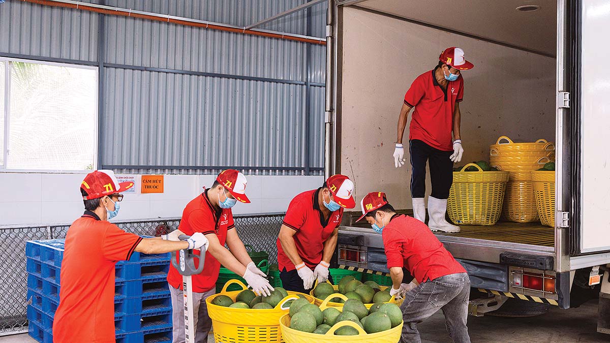 Khi &aacute;p lực lan rộng, doanh nghiệp cần giải ph&aacute;p đồng bộ về ch&iacute;nh s&aacute;ch v&agrave; thị trường (Ảnh: P.V)