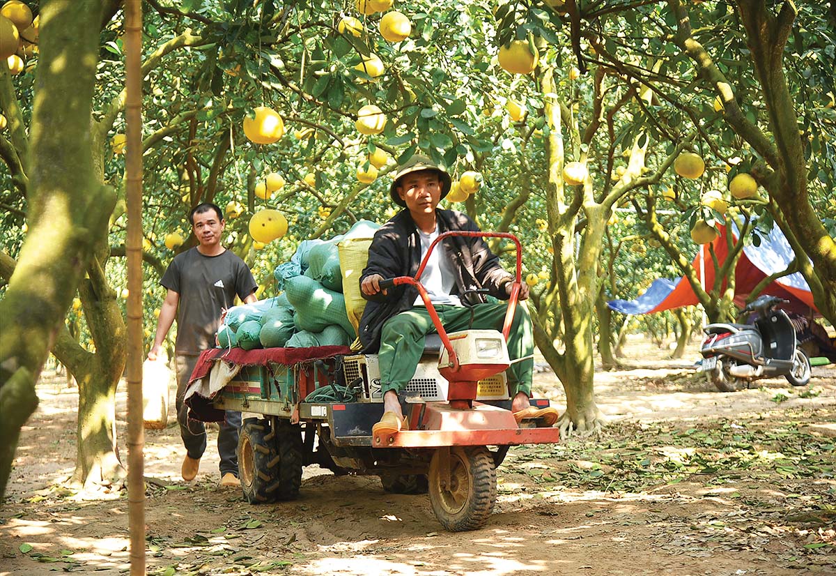 Đưa khởi nghiệp trở thành cơ hội mở cho số đông, thay vì chỉ dành cho những doanh nghiệp có tiềm lực hay các start-up công nghệ quy mô lớnảnh: pv