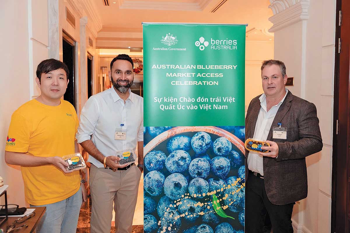 Việt Nam - Australia đang bước v&agrave;o giai đoạn ph&aacute;t triển mới với những mục ti&ecirc;u d&agrave;i hạn. Trong ảnh: Austrade tổ chức sự kiện giới thiệu tr&aacute;i việt quất tới Việt Nam 