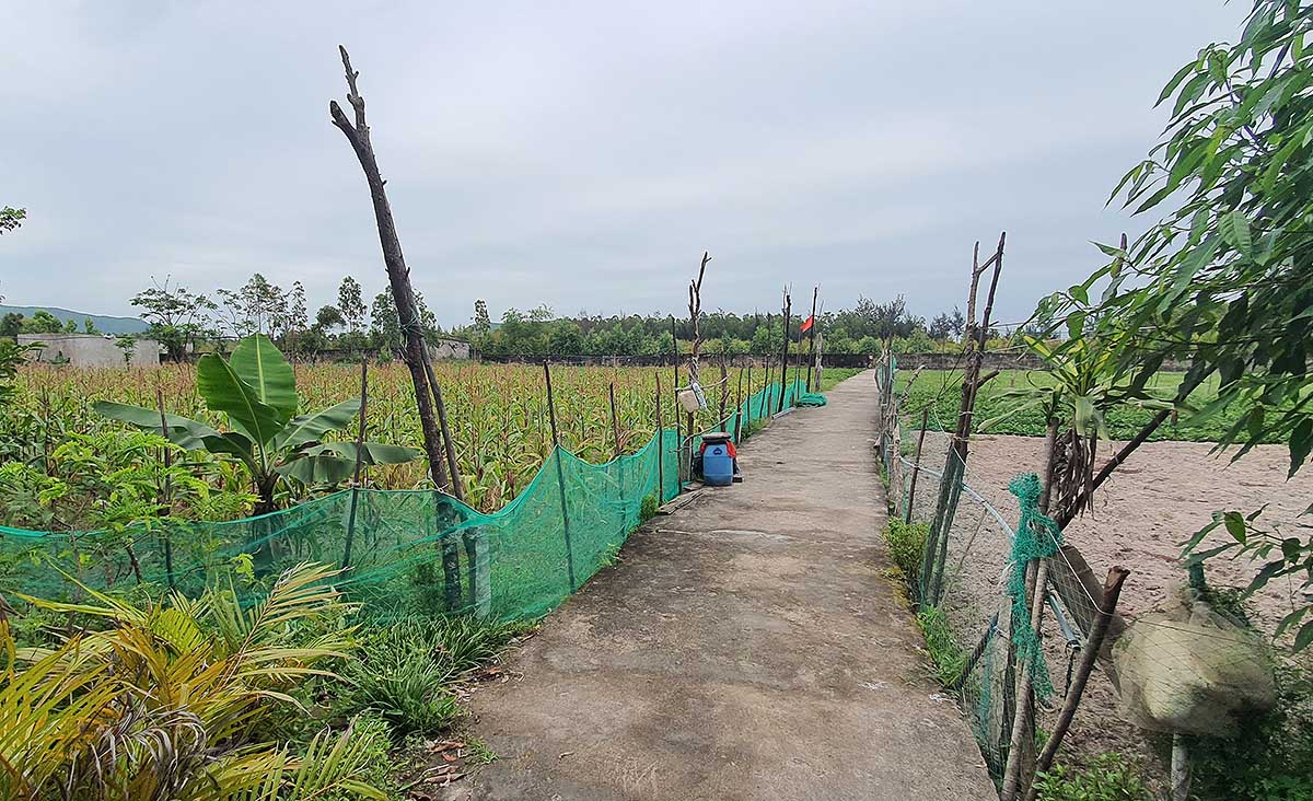 Khu vực Dự &aacute;n Sunspa - Đảo Yến hiện vẫn chưa ho&agrave;n th&agrave;nh giải ph&oacute;ng mặt bằng để b&agrave;n giao cho nh&agrave; đầu tư (Ảnh: B.T)