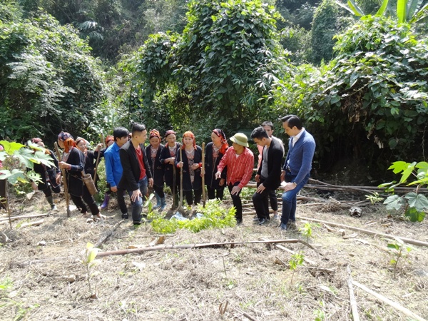 Ông Nguyễn Mạnh Hà - Chủ tịch Think Big Group (ngoài cùng bên phải) khảo sát việc việc trồng cây giống trên sườn đồi