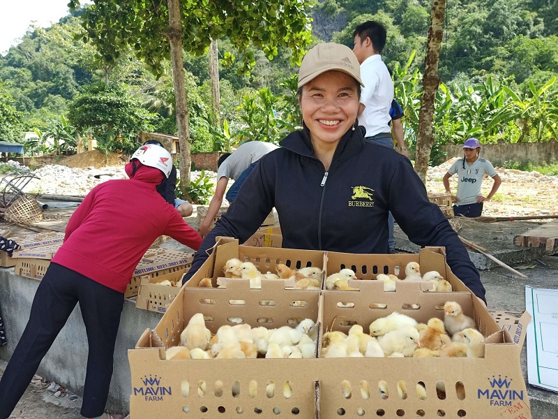 Hình ảnh đại diện Tập đoàn Mavin tặng gà tại Như Xuân, Thanh Hóa