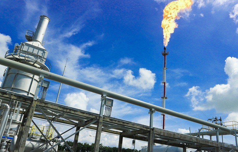 Giá dầu giảm đã ảnh hưởng mạnh đến kết quả kinh doanh của PV Gas