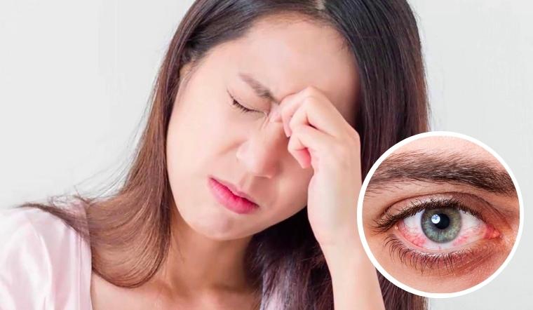 họa mi mái con - Chugiong.com
