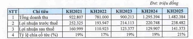 Kế hoạch kinh doanh giai đoạn 2021-2025 của Long Hậu (Nguồn: Long Hậu)