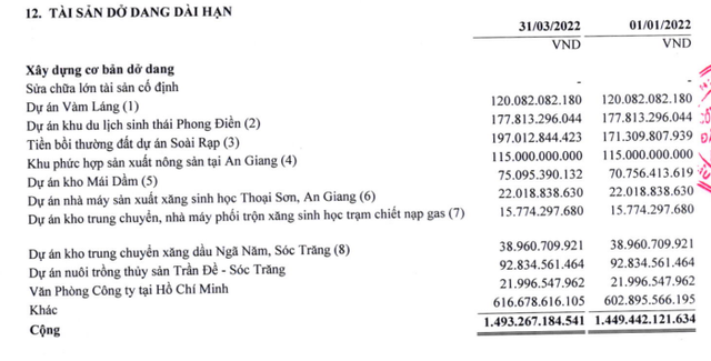 Tài sản dở dang dài hạn tới 31/3/2022 (Nguồn: BCTC).