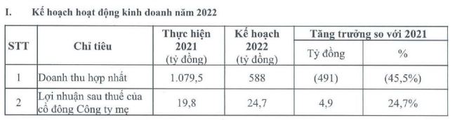 Kế hoạch kinh doanh năm 2022 của YEG (Nguồn: Tài liệu Đại hội cổ đông).