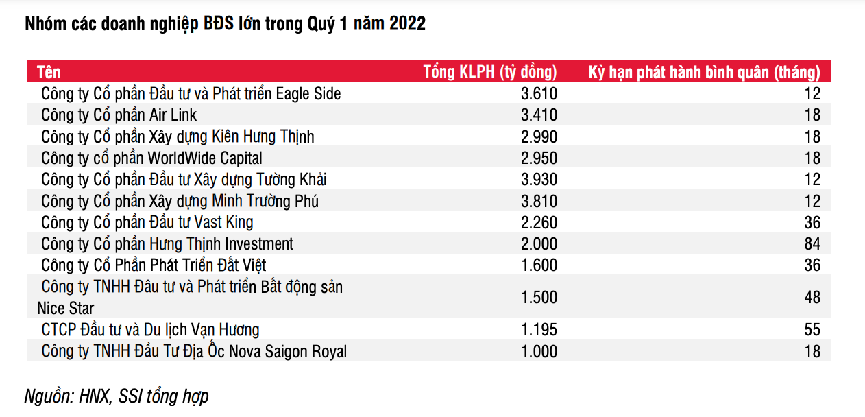 Nhóm các doanh nghiệp bất động sản lớn thực hiện phát hành trái phiếu trong quý I/2022 (Nguồn: SSI Research).