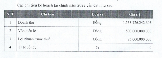 Kế hoạch kinh doanh năm 2022 của DFF (Nguồn: Tài liệu Đại hội cổ đông).