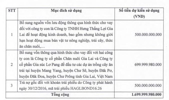 Mục đích sử dụng vốn trong đợt phát hành riêng lẻ (Nguồn: HAG).